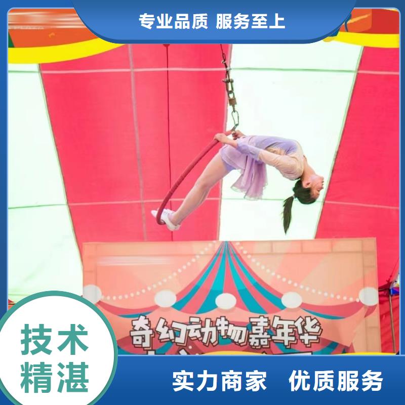 马戏团/羊驼-动物表演出租品质好