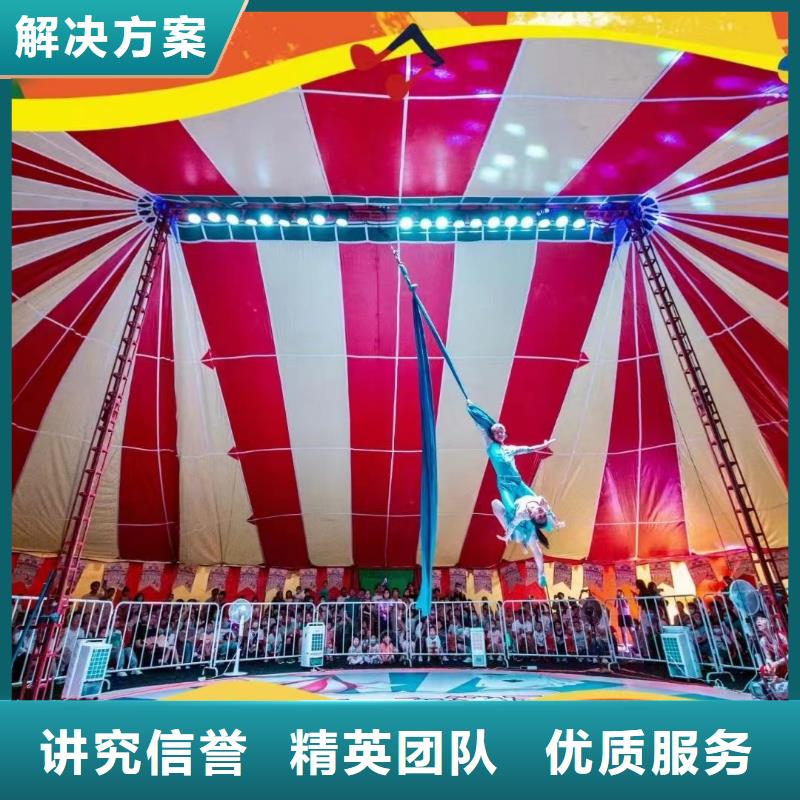 羊驼出租视频-云南省保山市兮洋羊驼出租可服务区域腾冲|施甸|丽江|红河|德宏|玉溪|昆明|怒江等