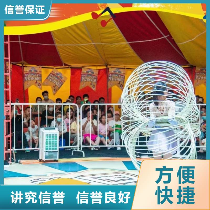 马戏团/羊驼水族海洋展专业服务