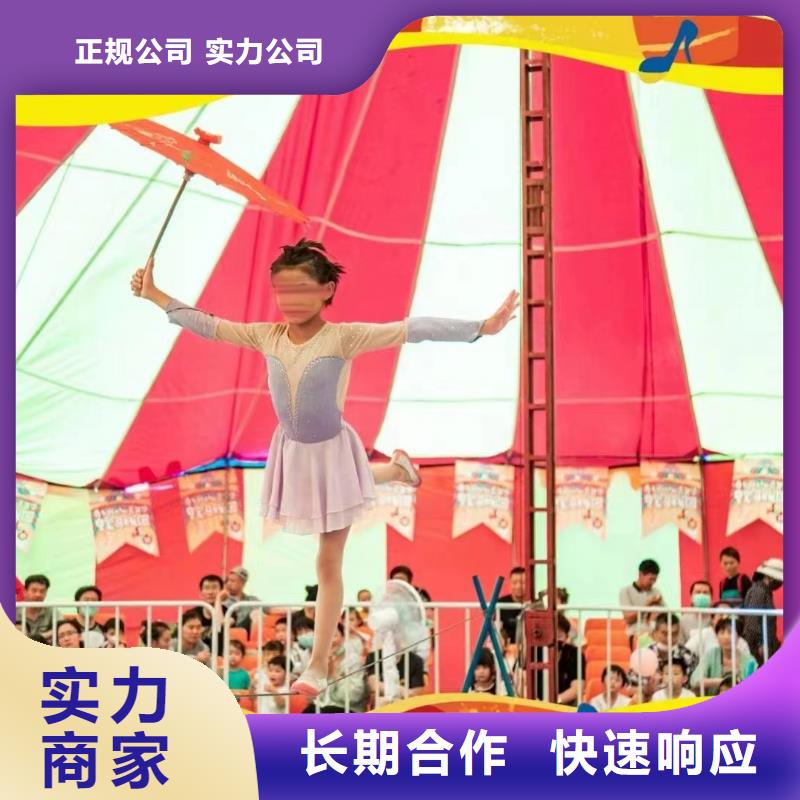 马戏团/羊驼鹦鹉表演值得信赖