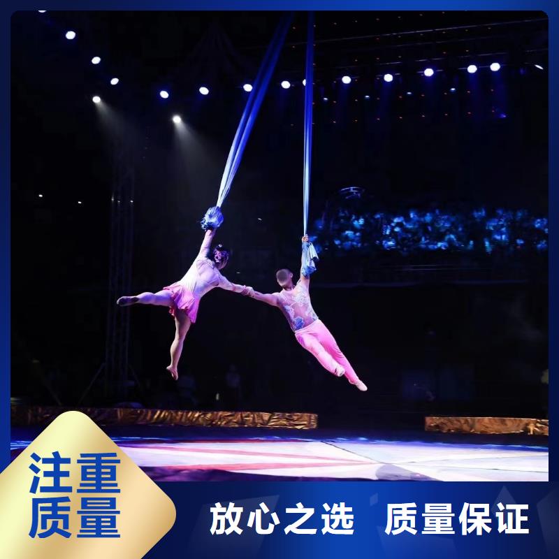 马戏团/羊驼,商场马戏表演出租知名公司