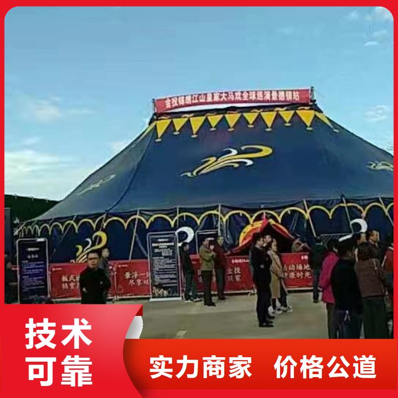 马戏团/羊驼杂技表演先进的技术