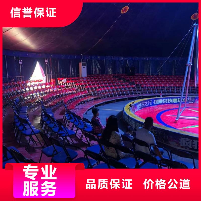 马戏团/羊驼杂技表演先进的技术