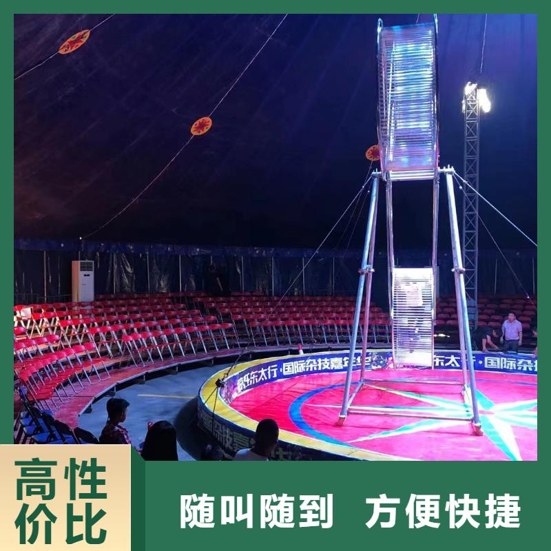 马戏团/羊驼【出租海狮表演】收费合理