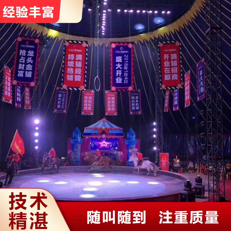 马戏团/羊驼-【马戏团表演出租租赁】方便快捷