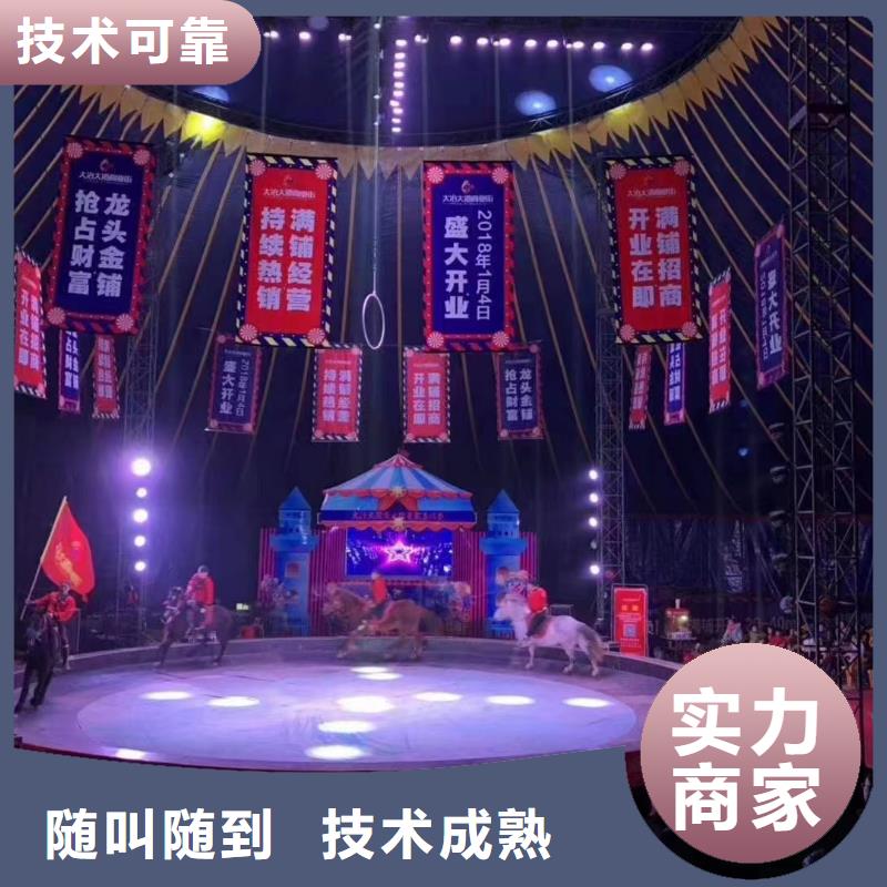 马戏团/羊驼,【海狮表演】售后保障