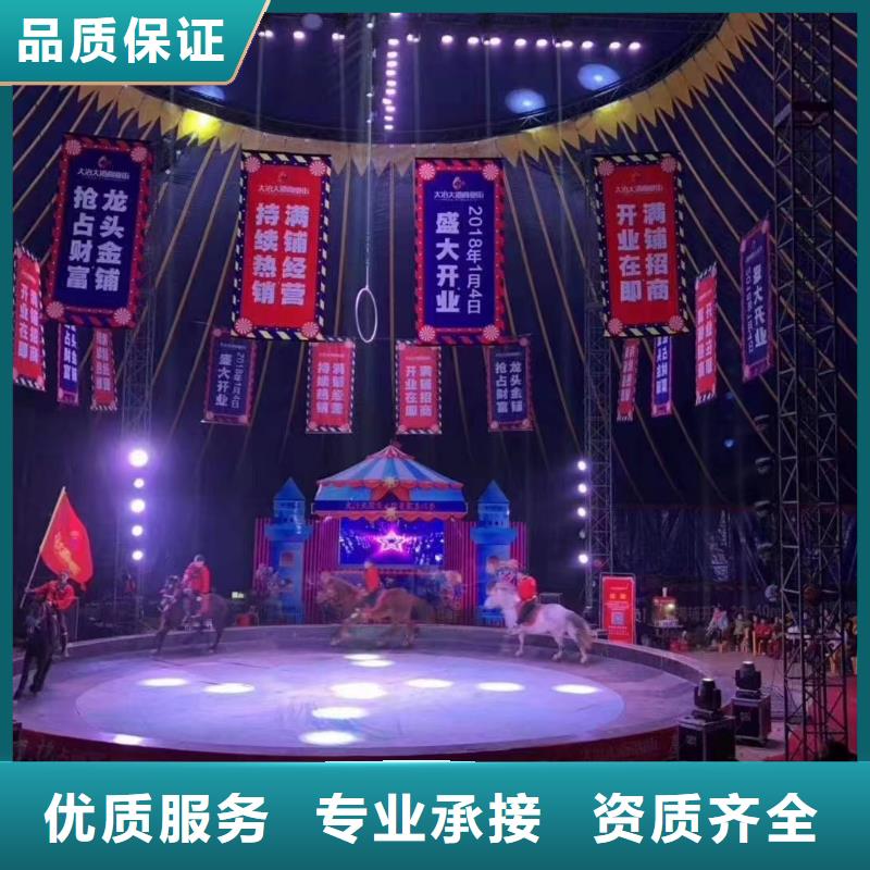 马戏团/羊驼_景区杂技表演专业团队