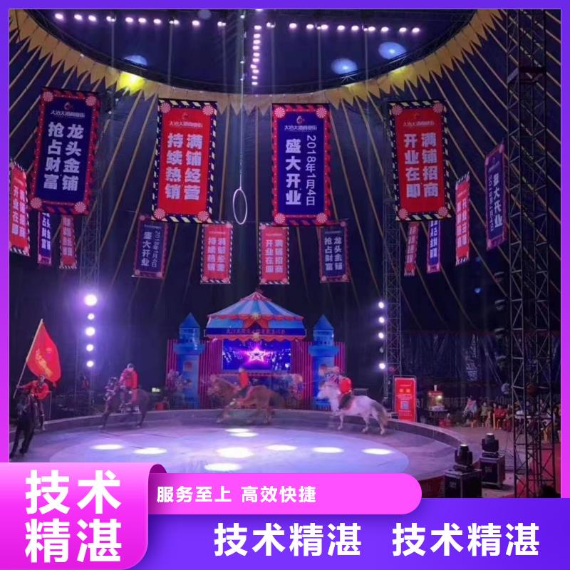 马戏团/羊驼【出租海狮表演】收费合理