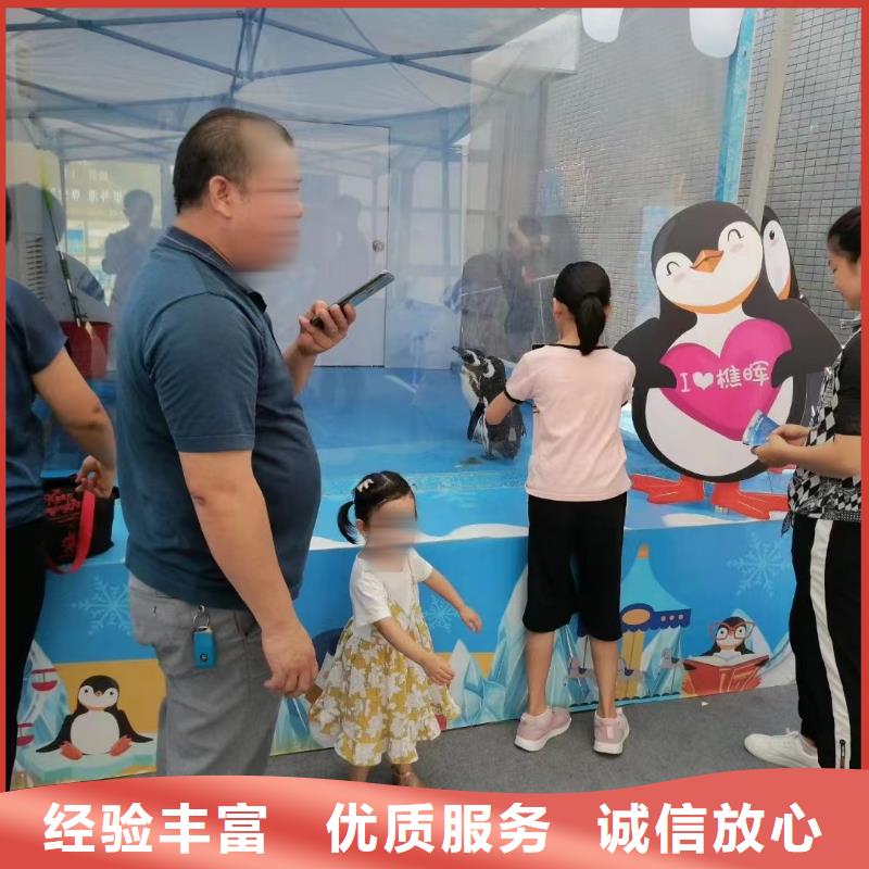 海洋主题动物表演出租表演鹦鹉品质卓越