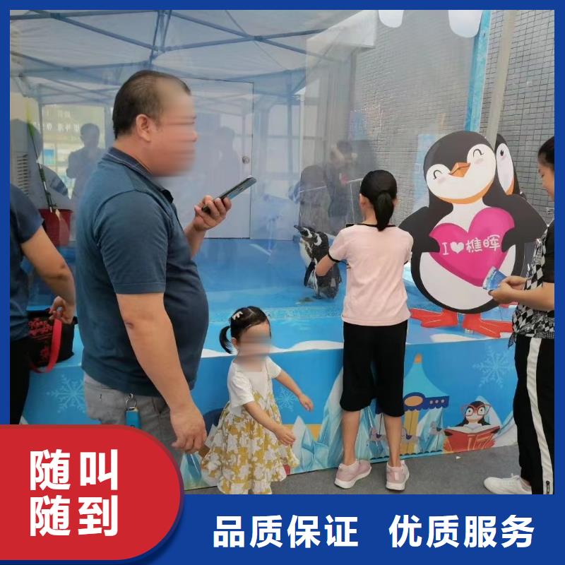 海洋主题动物表演马戏团表演口碑商家