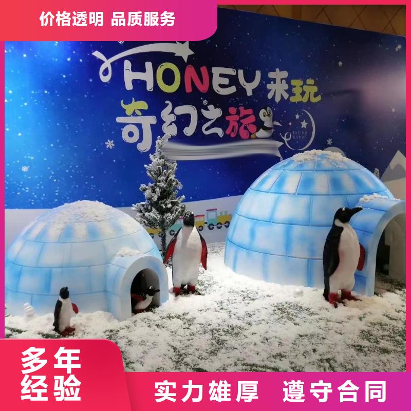 海洋主题动物表演海狮表演出租多年经验