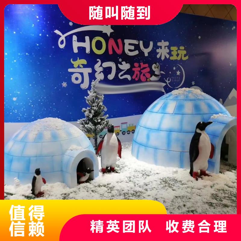 海洋主题动物表演企鹅出租表演实力公司