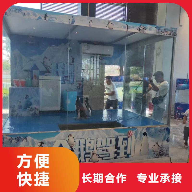 羊驼出租视频-河南省信阳市兮洋羊驼出租可服务区域光山|息县|安阳|洛阳|郑州|商丘|南阳等