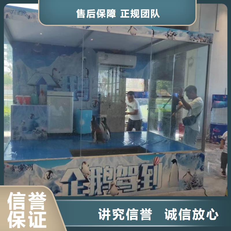 海洋生物展租赁