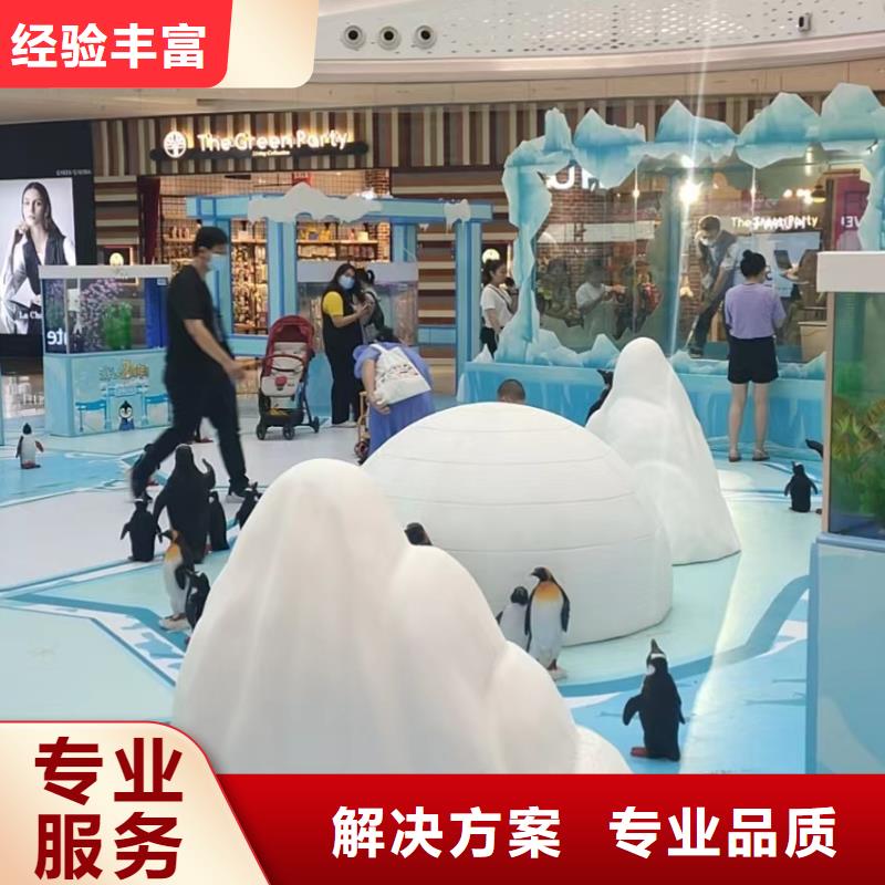 梦幻美人鱼表演出租资源丰富