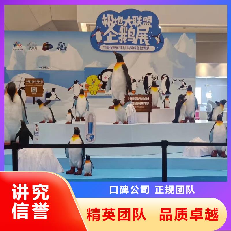 海洋主题动物表演出租表演企鹅诚信