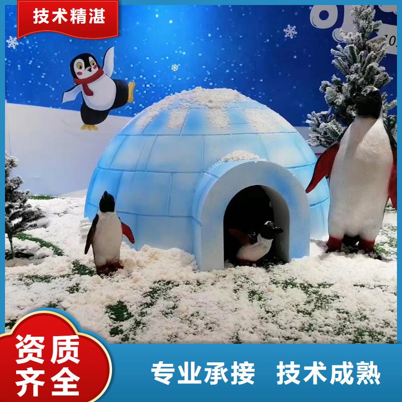 海洋主题动物表演出租海狮表演2025公司
