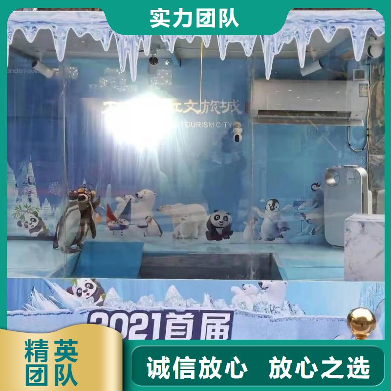 海洋主题动物表演,鹦鹉表演出租快速响应
