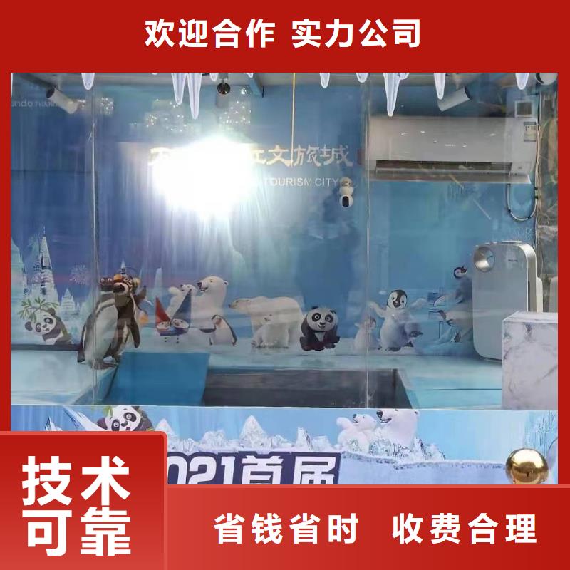 海洋主题动物表演动物表演从业经验丰富