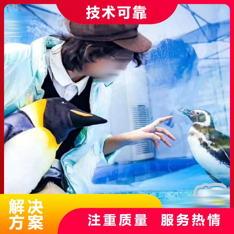 海洋主题动物表演吉祥百鸟展解决方案