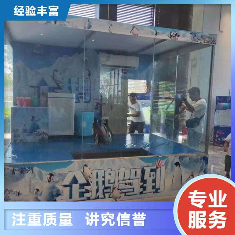 海洋主题动物表演吉祥百鸟展解决方案
