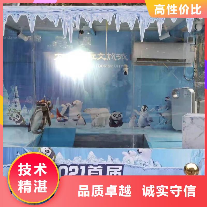 【海洋主题动物表演动物展览秀技术可靠】