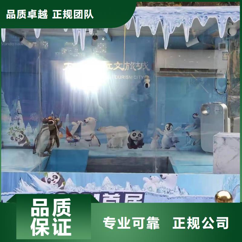 海洋主题动物表演_出租动物表演