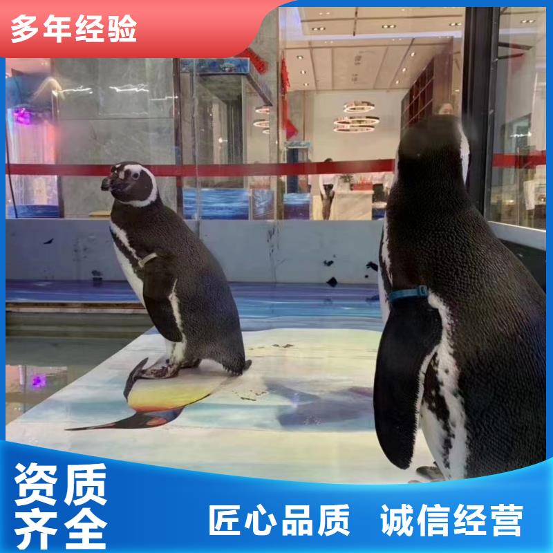 海洋生物展租赁