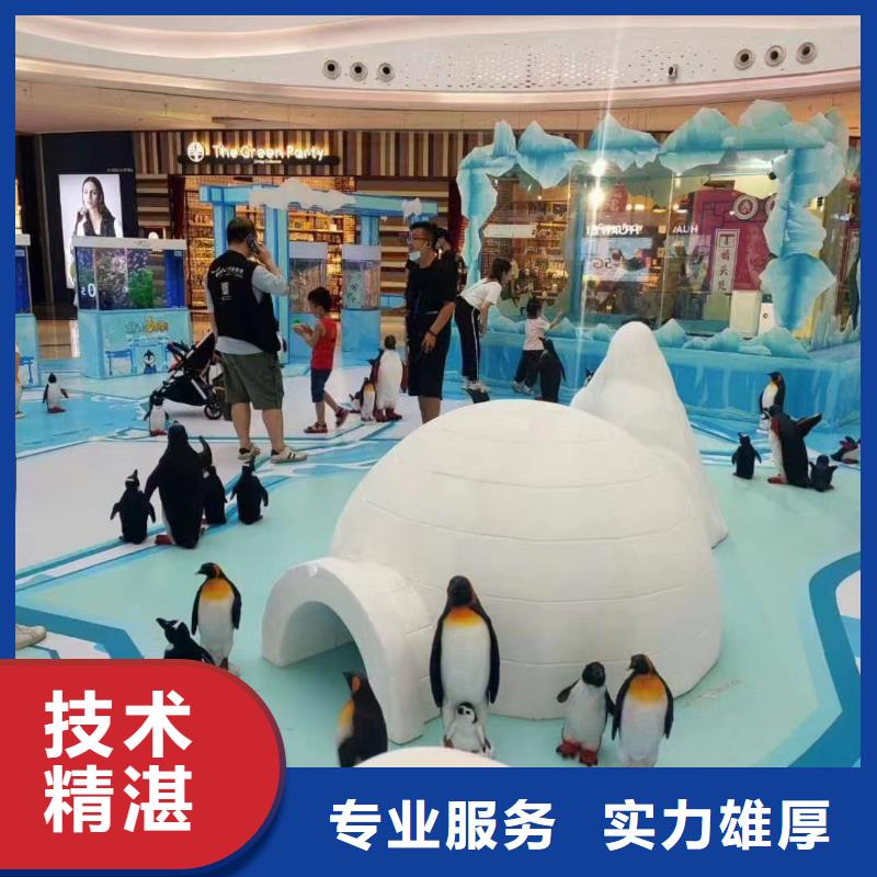 海洋主题动物表演企鹅出租表演实力公司