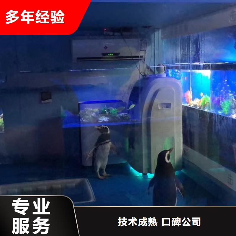 海洋主题动物表演 马戏团出租 一站式服务
