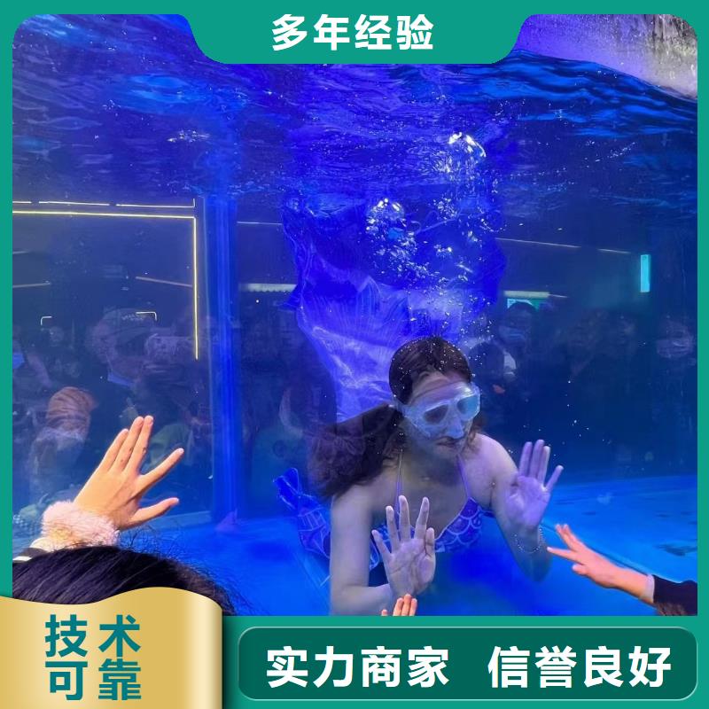 海洋主题动物表演出租羊驼齐全