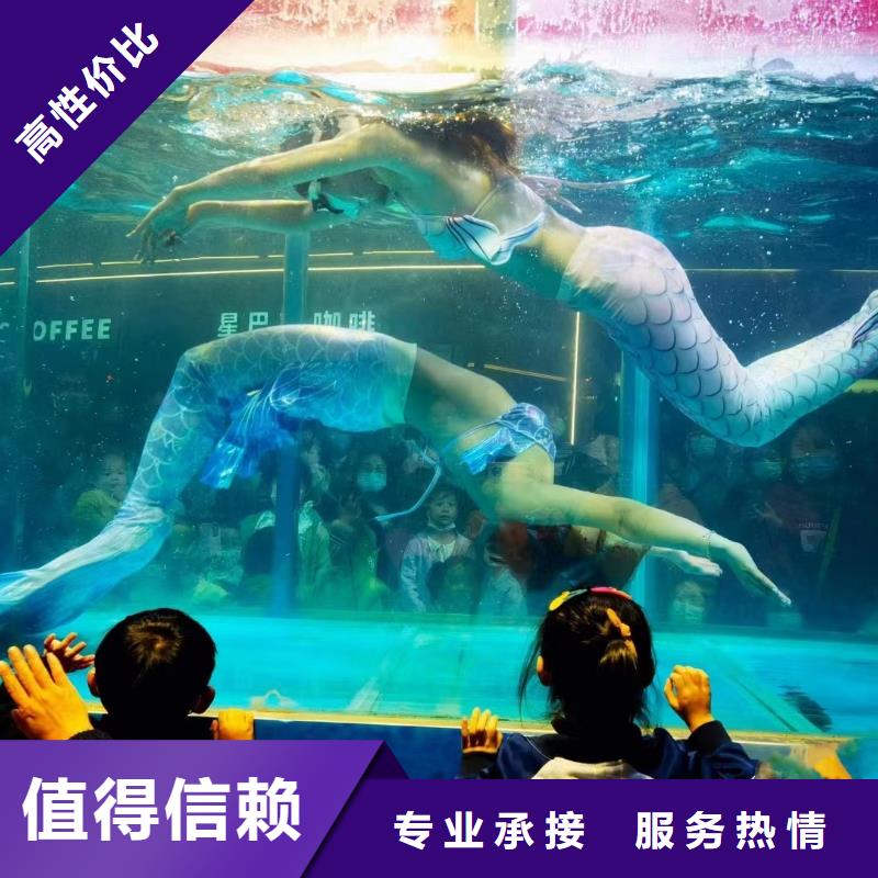 海洋主题动物表演马戏团表演欢迎合作