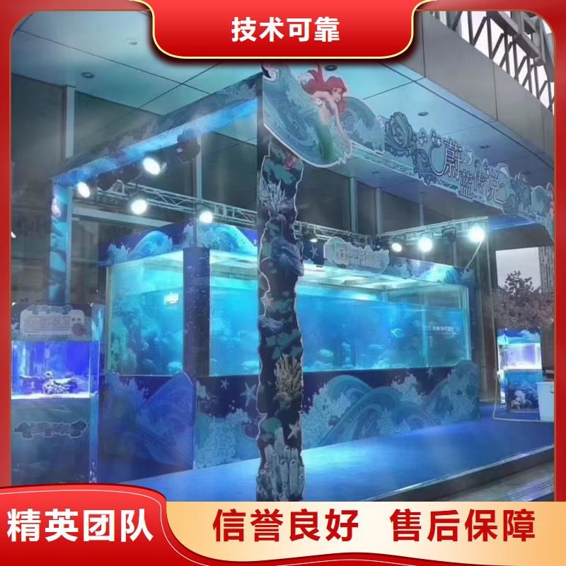 羊驼出租视频-元宝|振兴|阜新|沈阳|营口|大连|盘锦|抚顺|铁岭兮洋羊驼出租_ 兮洋动物展览(丹东市分公司)
