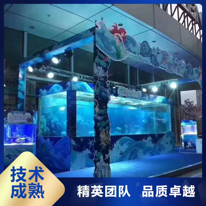 海洋主题动物表演出租企鹅质优价廉