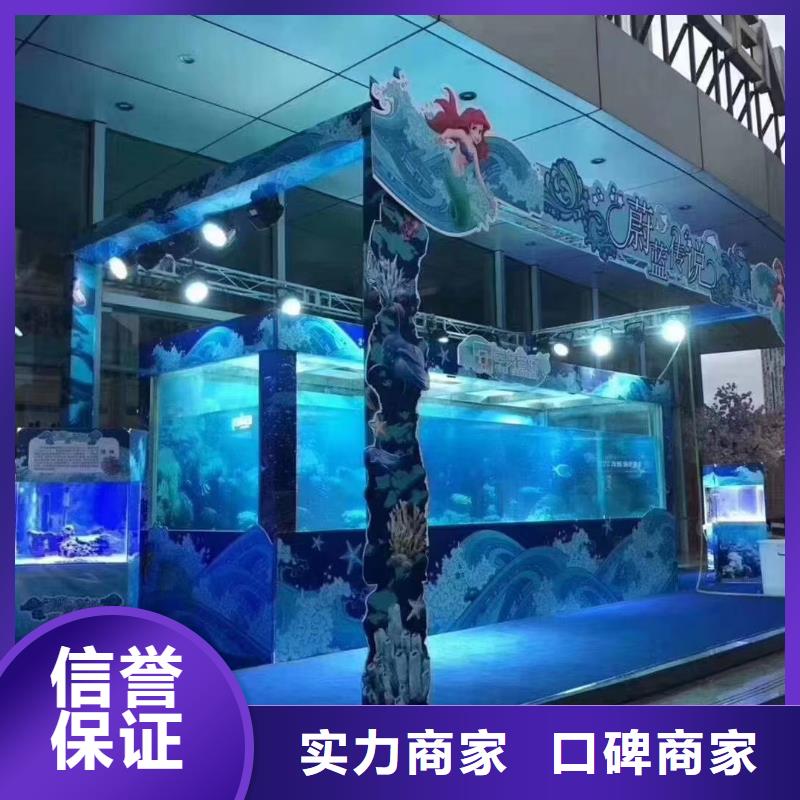 海洋主题动物表演_鹦鹉表演从业经验丰富