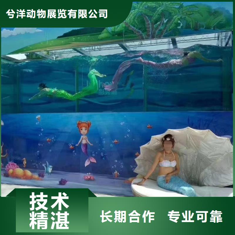 哪有出租海洋展的资源丰富