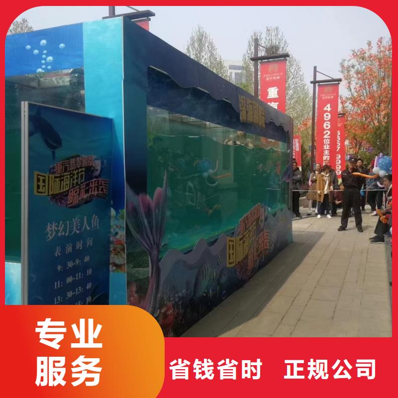 海洋主题动物表演出租表演鹦鹉信誉良好