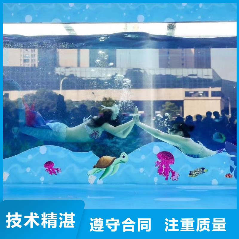 海洋主题动物表演马戏团出租 一站搞定