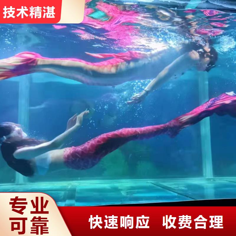 海洋主题动物表演出租企鹅质优价廉