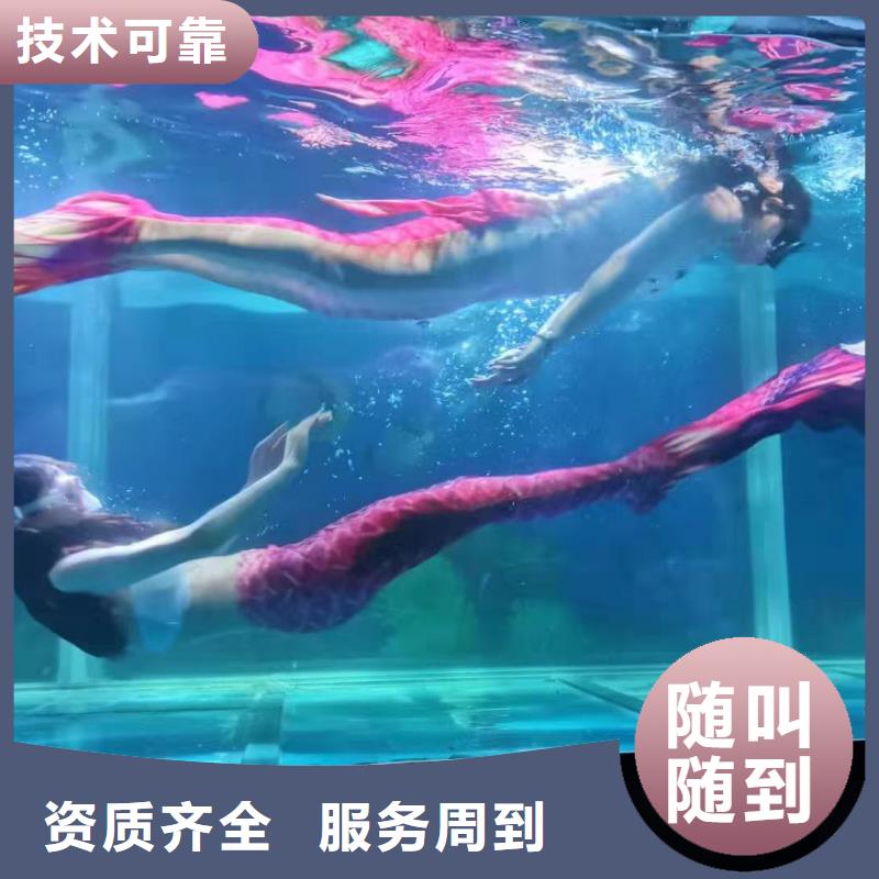 羊驼出租视频-羊驼出租-兮洋动物展览(资阳市分公司)服务区域安岳|雁江|雅安|乐山|攀枝花|阿坝