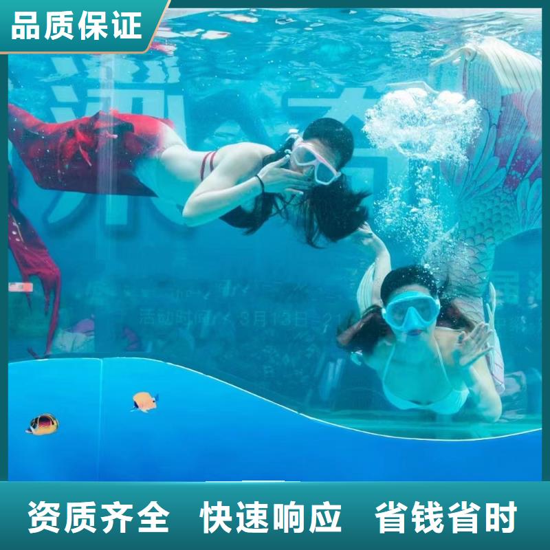 海洋主题动物表演_【海狮租赁表演】口碑公司