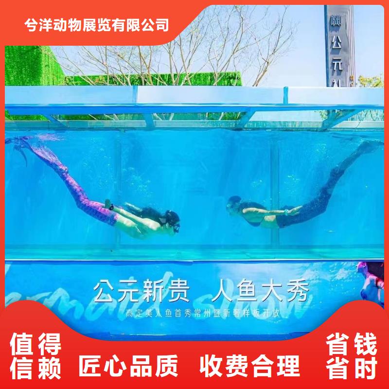 海洋主题动物表演海洋展租赁2025公司精心