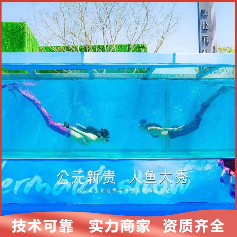 海洋主题动物表演海狮表演出租品质保证