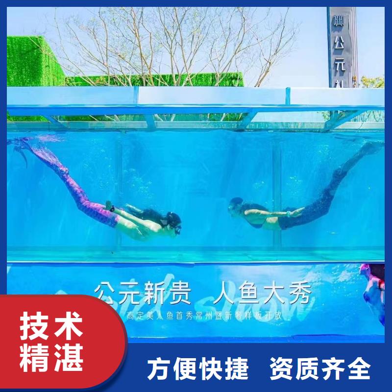 海洋主题动物表演【海狮表演租赁】讲究信誉