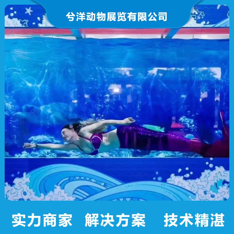 哪有出租海洋展的
