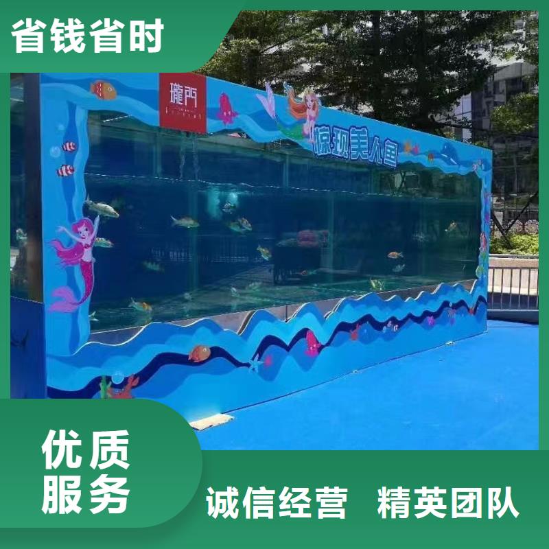 海洋主题动物表演 出租马戏表演质优价廉