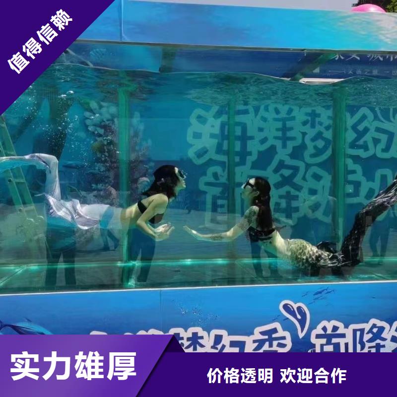 海洋主题动物表演,鹦鹉表演出租快速响应