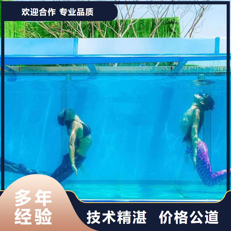 海洋主题动物表演海狮表演出租良好口碑