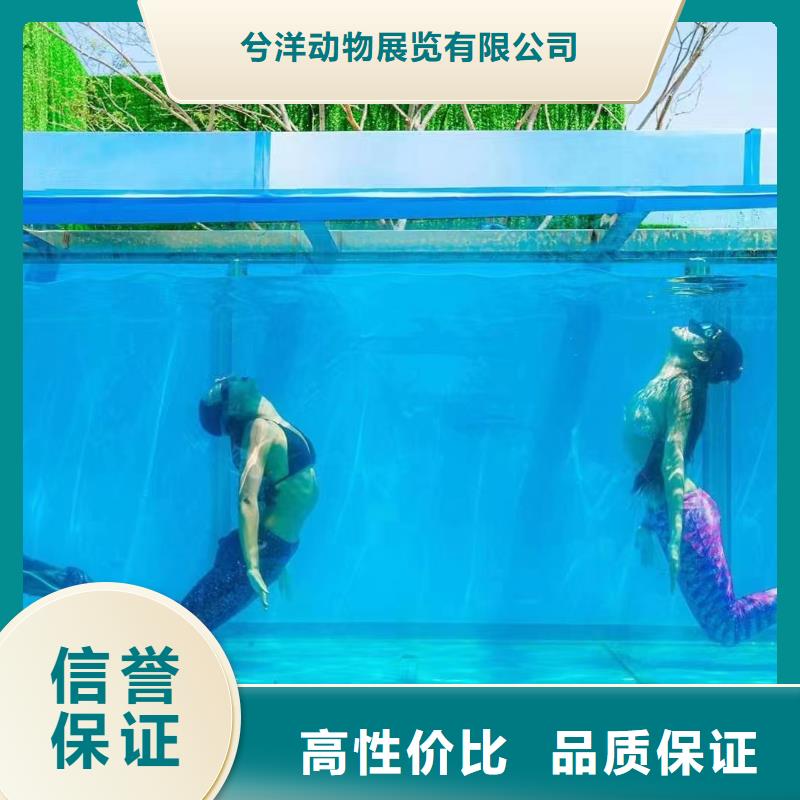 海洋主题动物表演表演羊驼租赁精英团队