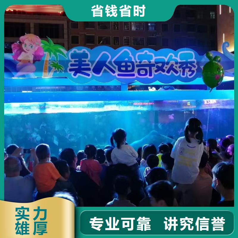 海洋主题动物表演_出租马戏表演解决方案